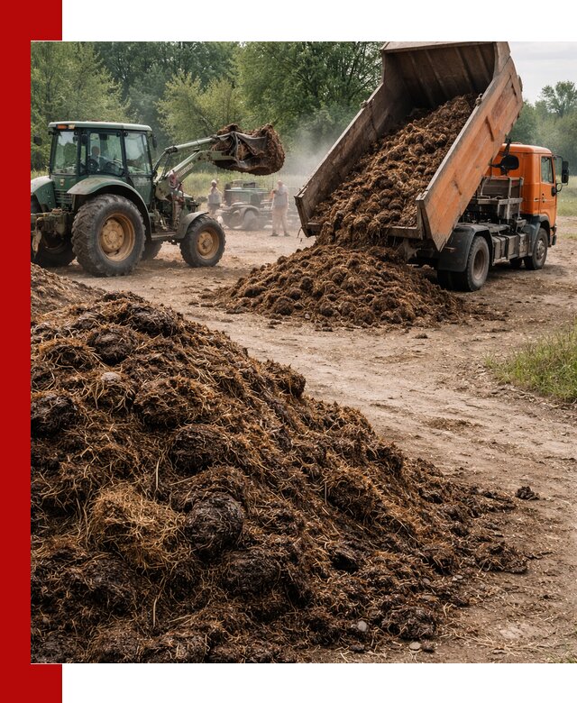 Доставка навоза самосвалами в Борисоглебске для сельхозпотребностей