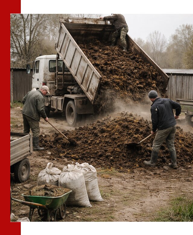 Доставка коровьего навоза самосвалом в Борисоглебске